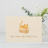 子猫・オン・ムービング 案内状 (スタンド正面)