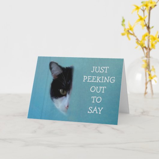 子猫 カード (黄色い花)