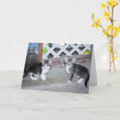 子猫 カード (黄色い花)