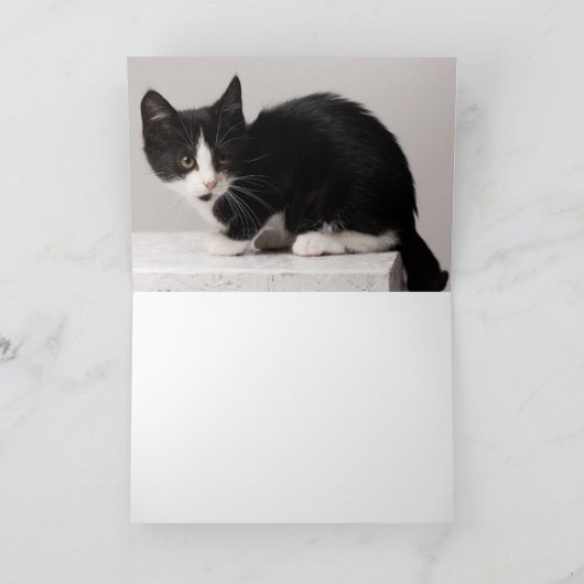 子猫 カード (内部)