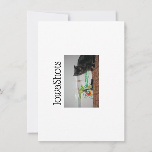 子猫 カード (裏面)