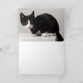 子猫 カード (内部)