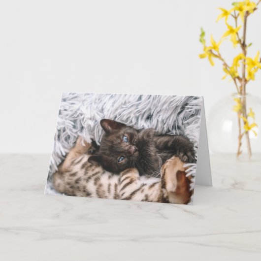 子猫 カード (黄色い花)