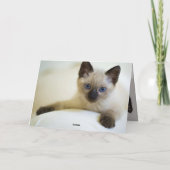 子猫 カード (裏面)