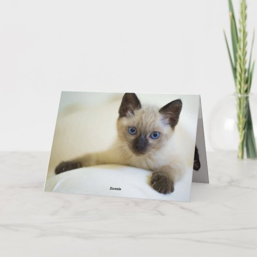 子猫 カード (裏面)