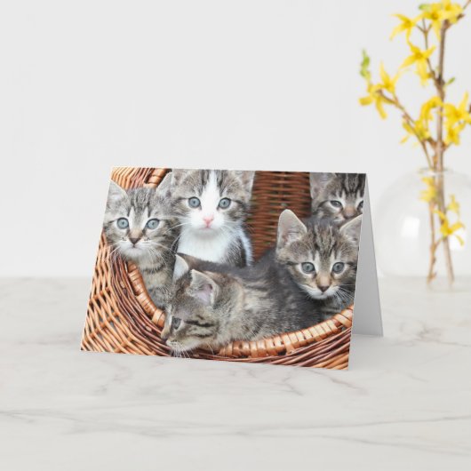 子猫 カード (黄色い花)