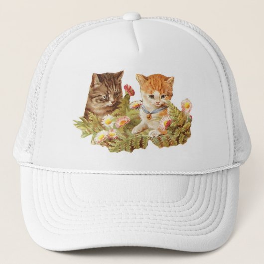 子猫 キャップ (正面)