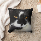 子猫 クッション (ブランケット)