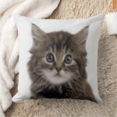 子猫 クッション (ブランケット)