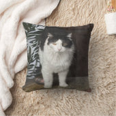 子猫 クッション (ブランケット)