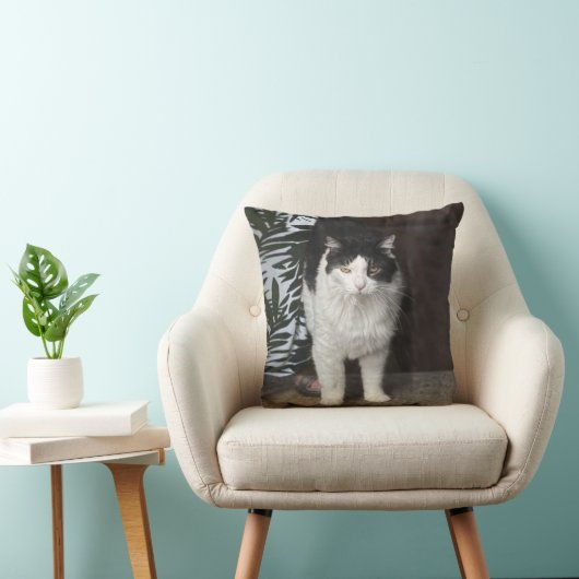 子猫 クッション (椅子)