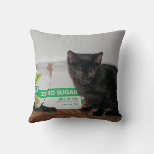 子猫 クッション (裏面)