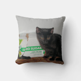 子猫 クッション