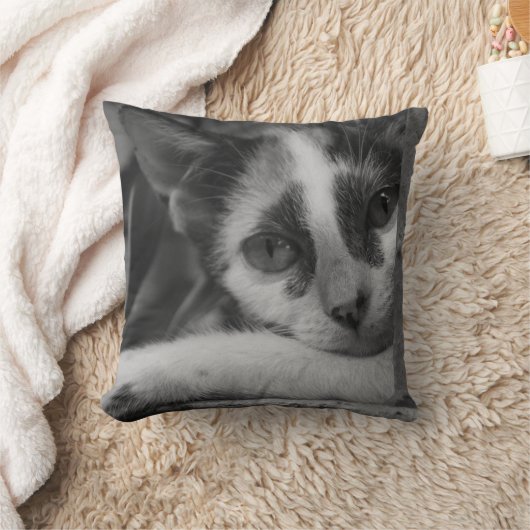 子猫 クッション (ブランケット)