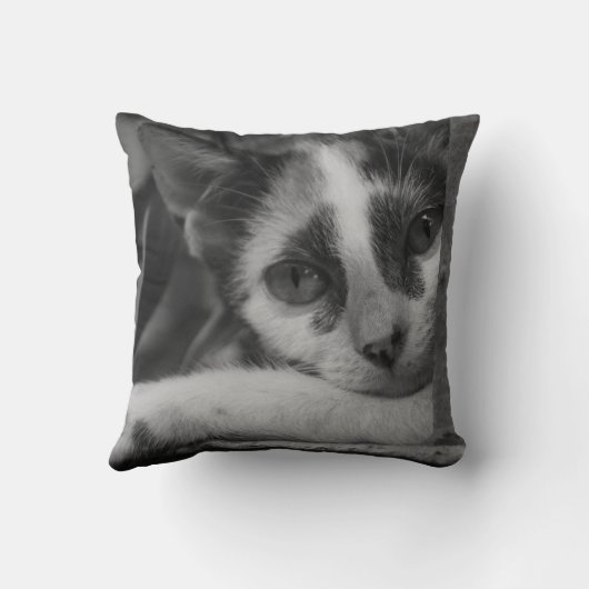 子猫 クッション (裏面)