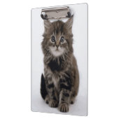 子猫 クリップボード (左)