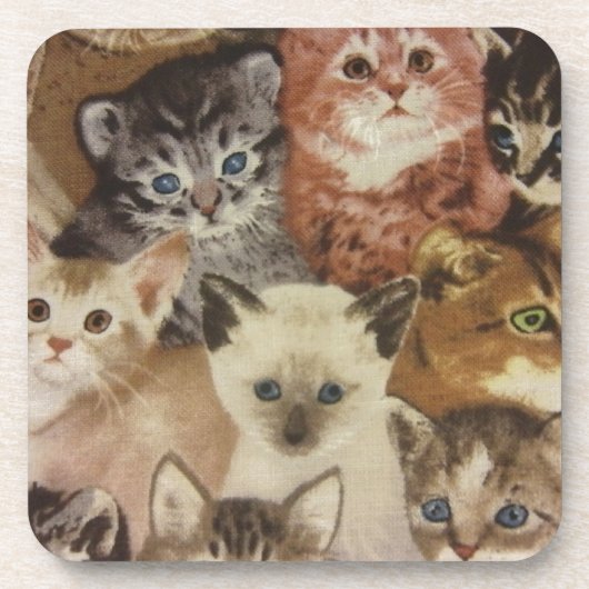 子猫 コースター (正面)