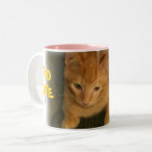 子猫「コーヒーに可愛すぎる」マグカップ ツートーンマグカップ (正面左)