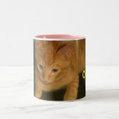 子猫「コーヒーに可愛すぎる」マグカップ ツートーンマグカップ (中央)