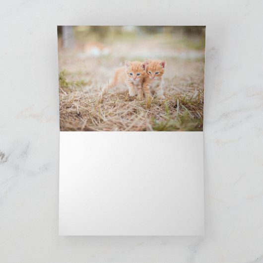 子猫 サンキューカード (内部)