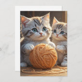 子猫 サンキューカード (正面/裏面)