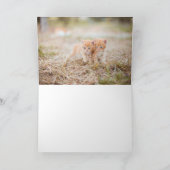 子猫 サンキューカード (内部)