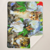 子猫 シェルパブランケット (正面)