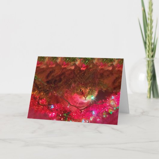 子猫 シーズンカード (正面)