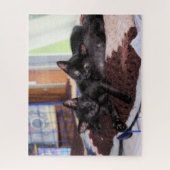 子猫 ジグソーパズル (縦)