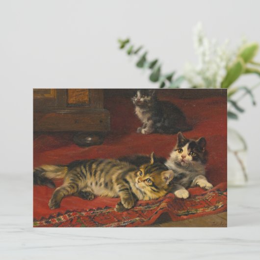 子猫 | ジュリアス・アダム (スタンド正面)