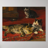 子猫 | ジュリアス・アダム ポスター (正面)