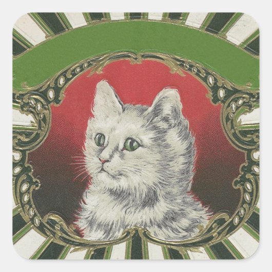 子猫 スクエアシール (正面)