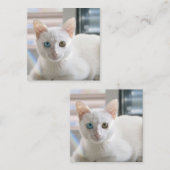 子猫 スクエア名刺 (正面/裏面)