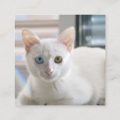 子猫 スクエア名刺 (裏面)