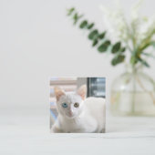 子猫 スクエア名刺 (スタンド正面)