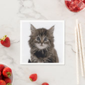 子猫 スタンダードカクテルナプキン (インサイチュ)