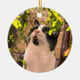 子猫 セラミックオーナメント