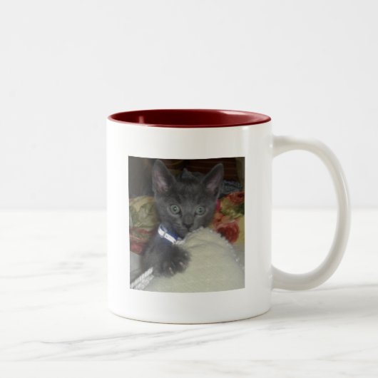 子猫 ツートーンマグカップ (右)