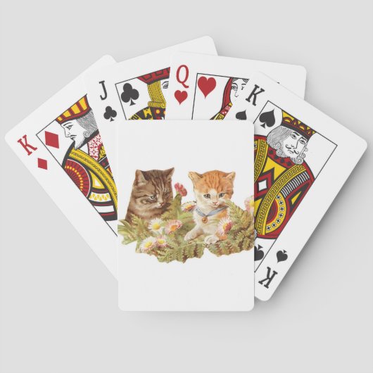 子猫 トランプ (裏面)