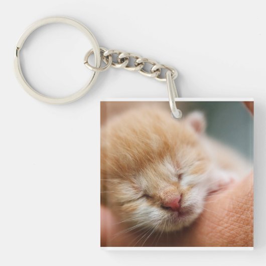 子猫,ネコ,自然 キーホルダー (正面)