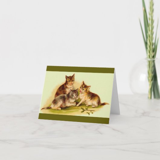 子猫 ノートカード (正面)