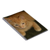 子猫 ノートブック (右側)