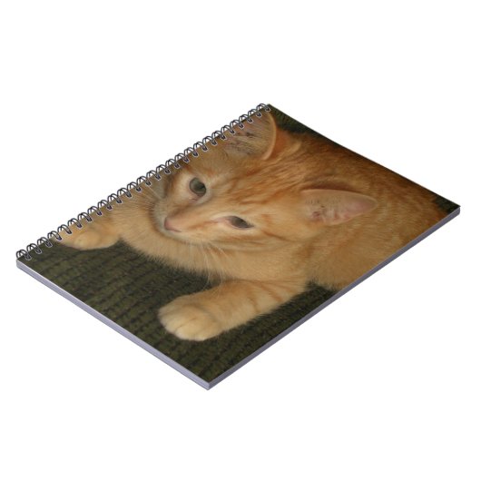 子猫 ノートブック (左側)