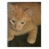 子猫 ノートブック (正面)