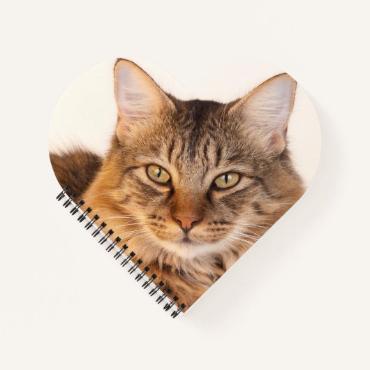 子猫 ノートブック (正面)