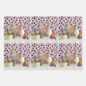 子猫！バイキングとパトンの誕生日 ラッピングペーパーシート (正面3)