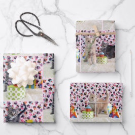 子猫!バイキングとパトンの誕生日 ラッピングペーパーシート