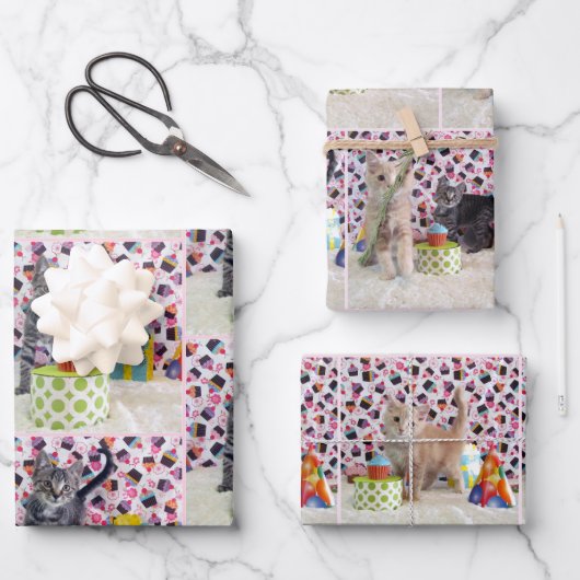 子猫！バイキングとパトンの誕生日 ラッピングペーパーシート (正面)
