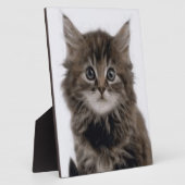 子猫 フォトプラーク (側面)