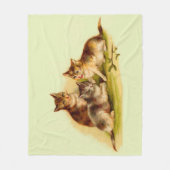 子猫 フリースブランケット (正面)